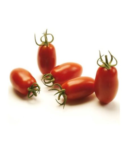 tomato出品 Tomato seeds Hakumaru F1 (250s) | AM oaks